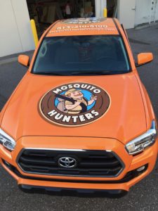 Vehicle Graphics and Wraps