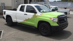 Vehicle Graphics Wrap